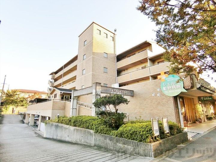 エミネンス辻本Ⅱ 6階建