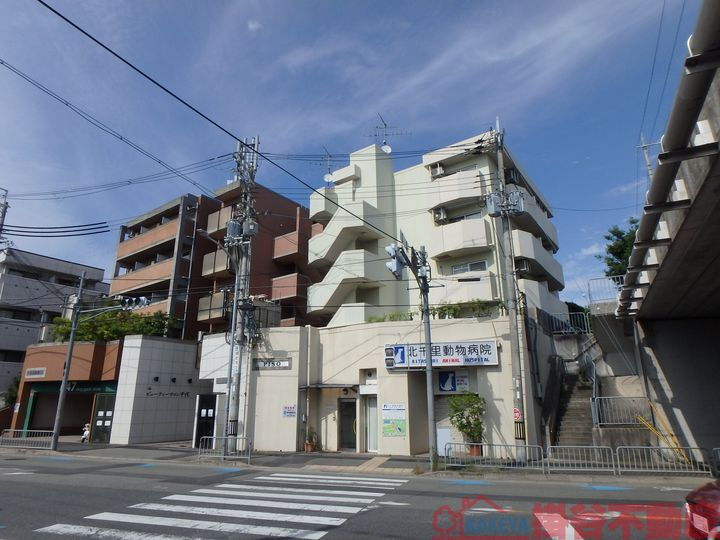 ＰＩＳＯ 5階建