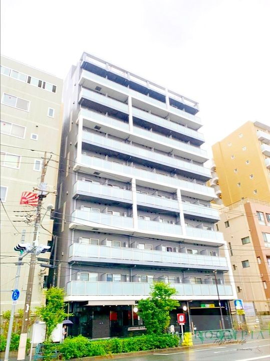 アルテシモシェルト 11階建