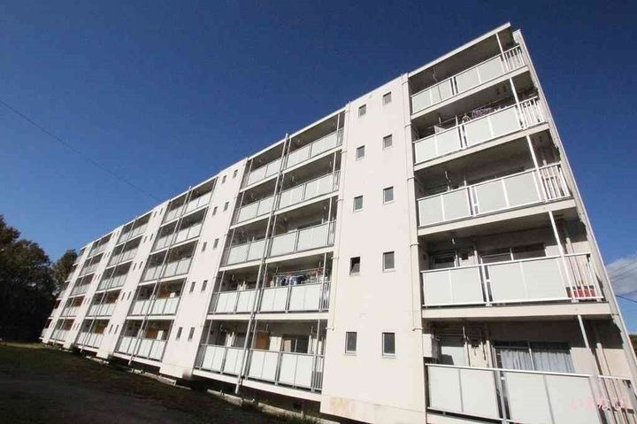ビレッジハウス大門第二２号棟 5階建