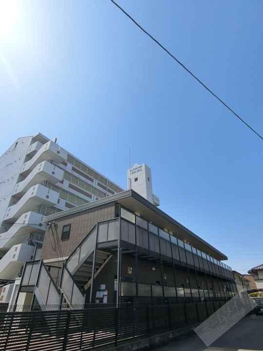 アンプルール　茶谷