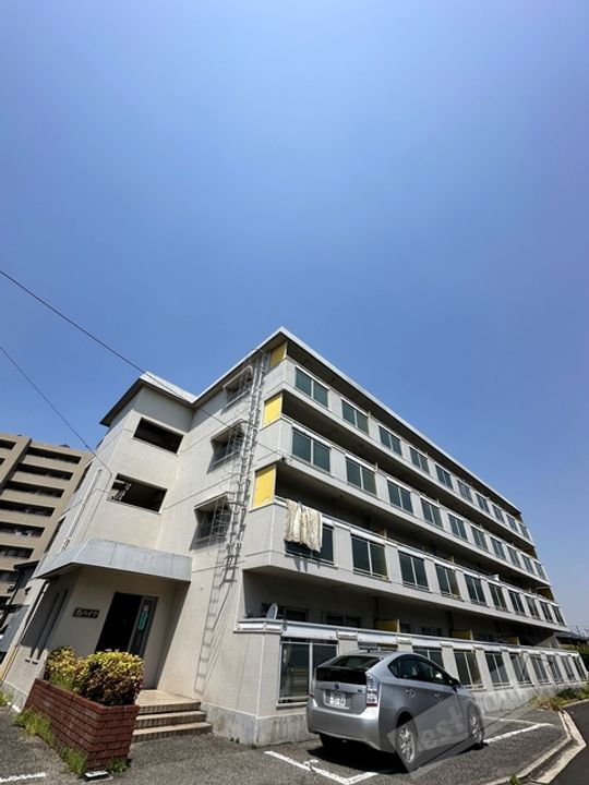 菊ハイツ 4階建