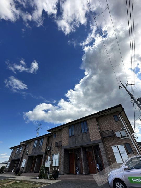 ジョリ−パ−トナ−