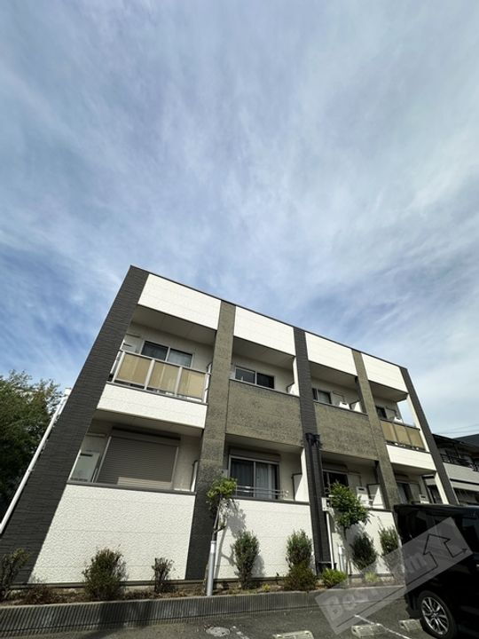 Ｙ’ｓ　Ｃｏｕｒｔ