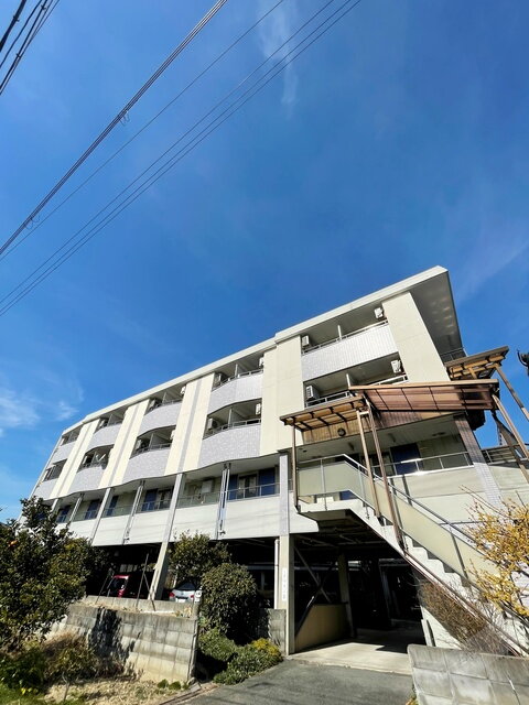 ミドウスジ堺Ⅱ 4階建