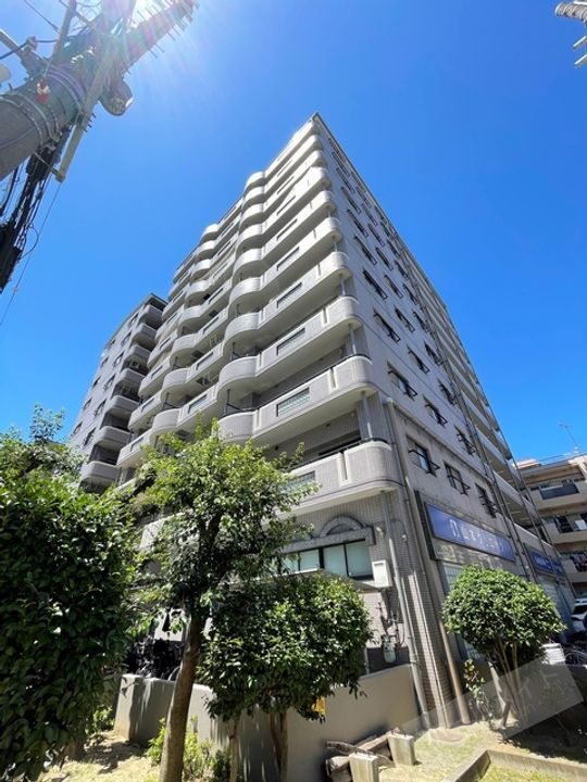 レグルス我孫子 11階建