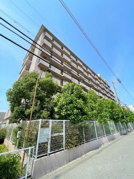 ＣＡＳＳＩＡ南住吉 8階建