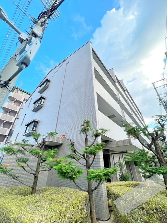 大阪府大阪市東住吉区杭全４丁目 賃貸マンション