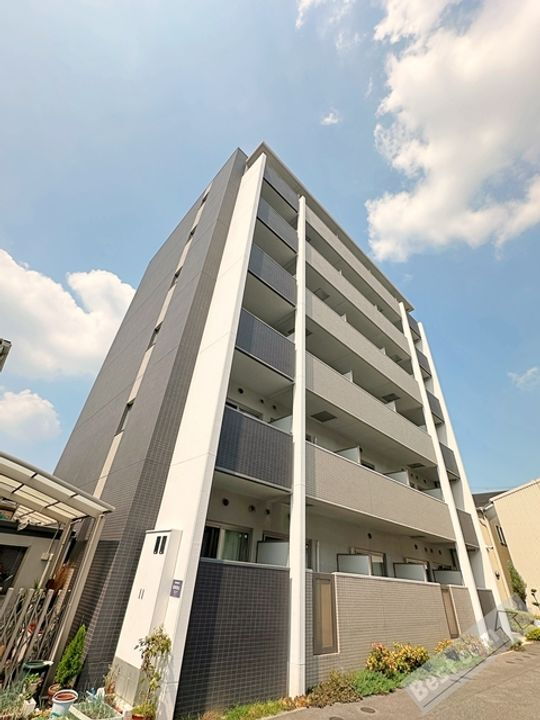 ドルフシィア 6階建