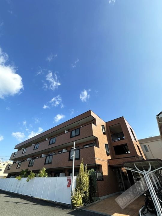 ゾーナ　ブローテ