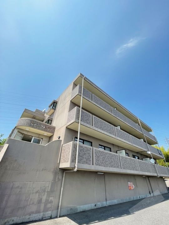 Ｂｒｅｅｚｅ　ｃｏｕｒｔ