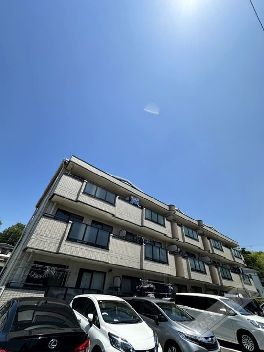 ウィスタリア藤