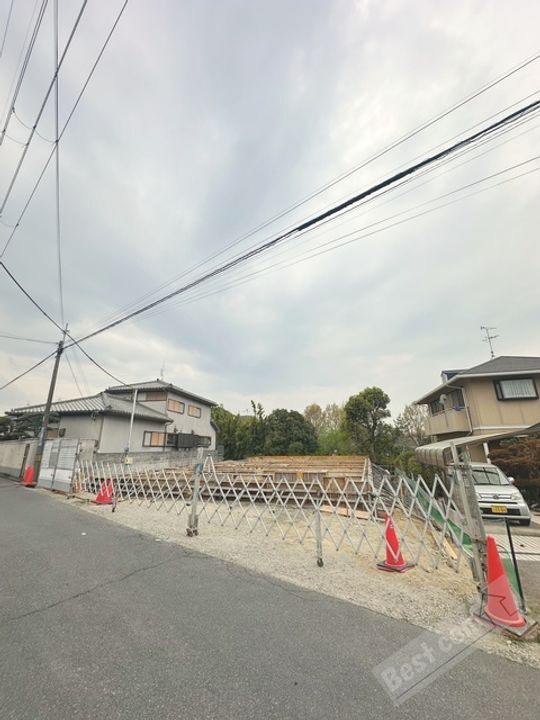 ビーナスベルト