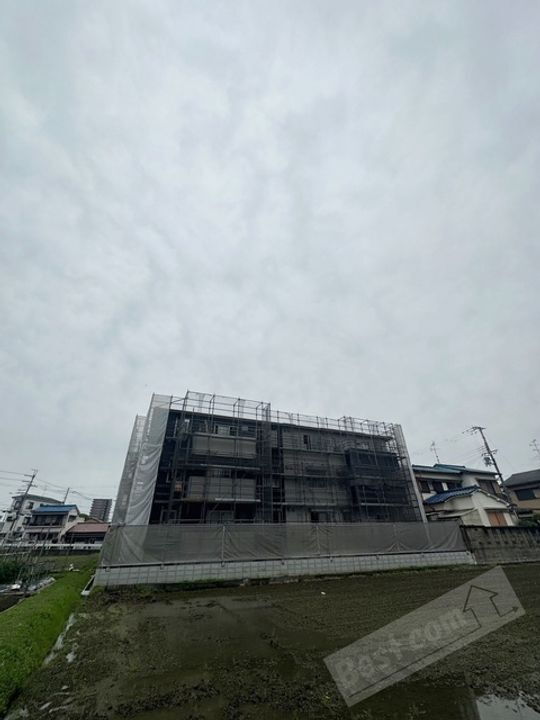 クレマチス 3階建