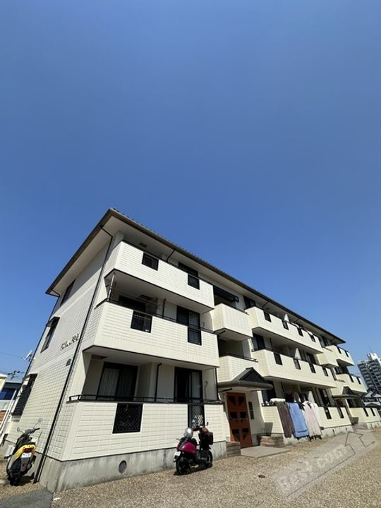 大阪府泉大津市我孫子 賃貸アパート