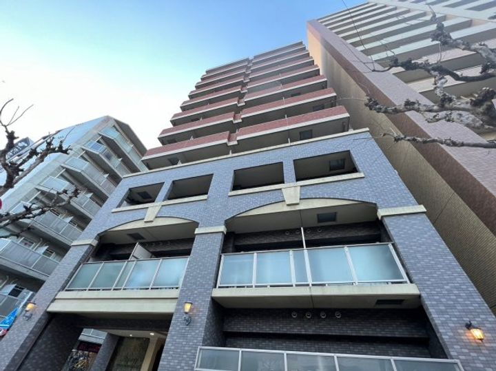 大阪府大阪市住吉区我孫子東１丁目 11階建