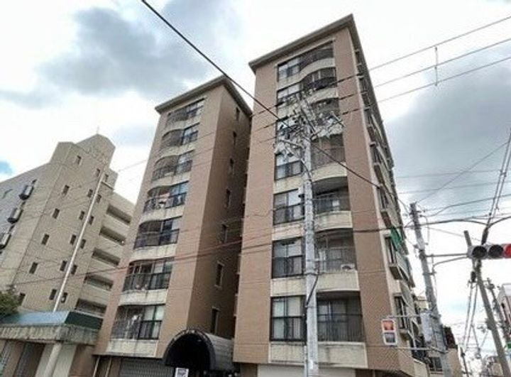 大阪府大阪市西成区梅南２丁目 8階建 築31年11ヶ月