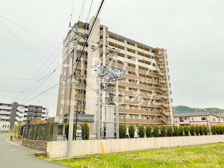 ルシオーレ 11階建