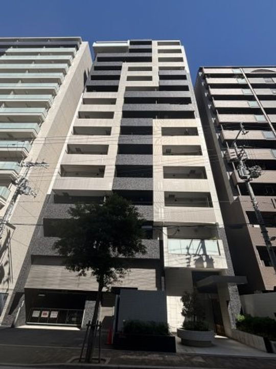 大阪府大阪市西区南堀江１丁目 賃貸マンション