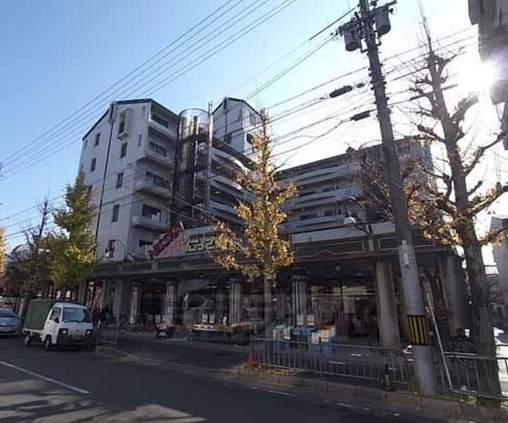 京都府京都市右京区嵯峨新宮町 6階建 築39年4ヶ月