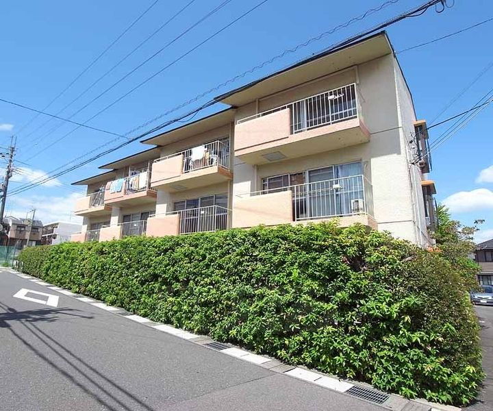 京都府向日市鶏冠井町祓所 3階建 築42年8ヶ月