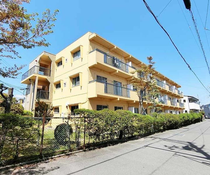 京都府向日市物集女町南条 3階建 築45年12ヶ月