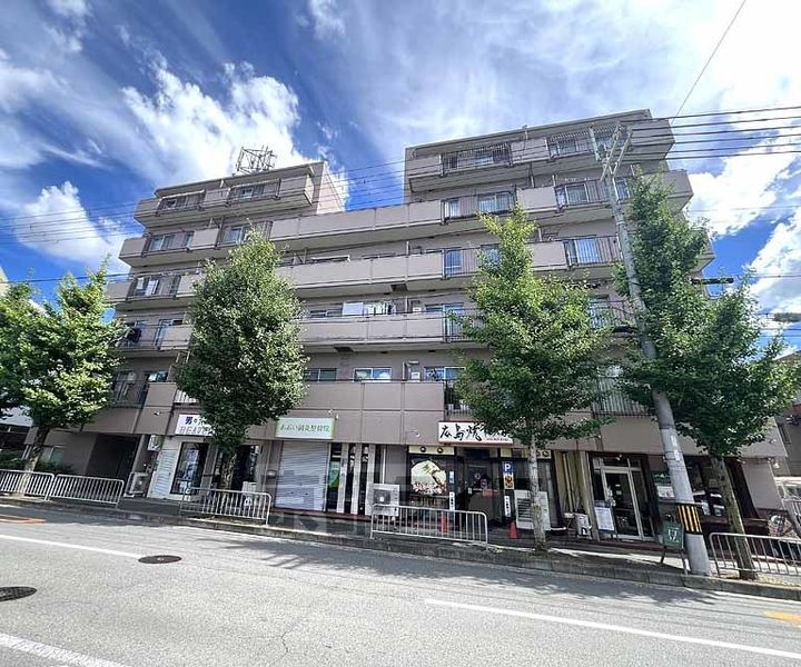 京都府京都市右京区嵯峨広沢南下馬野町 築48年7ヶ月 6階建
