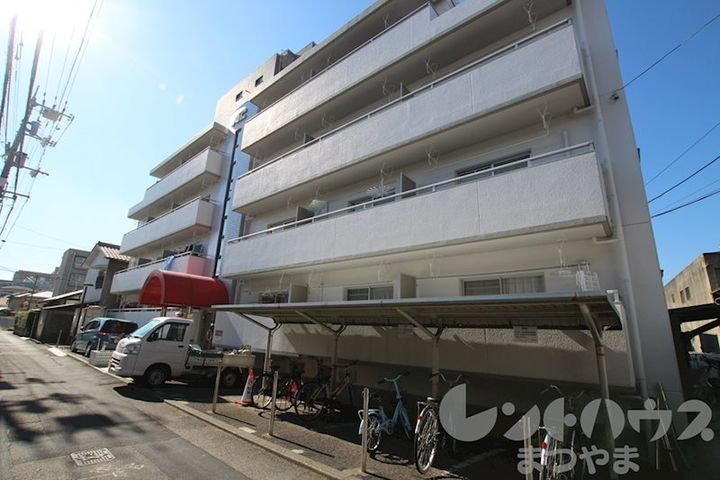 メゾンパルサー道後 4階建