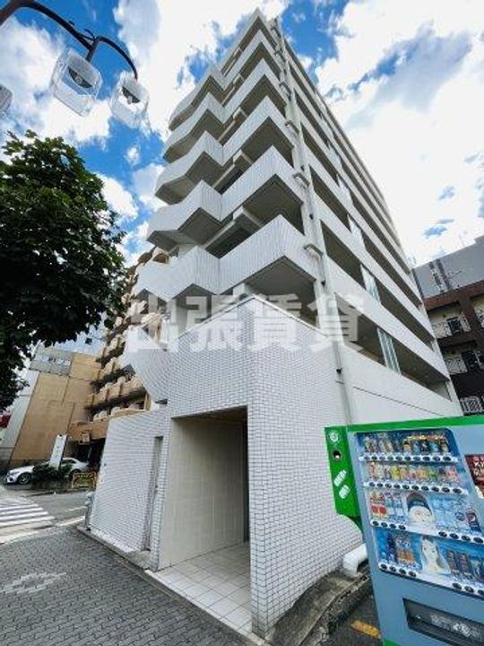 ＲＡＦＦＬＥ　ＳＨＩＮＳＡＫＡＥ