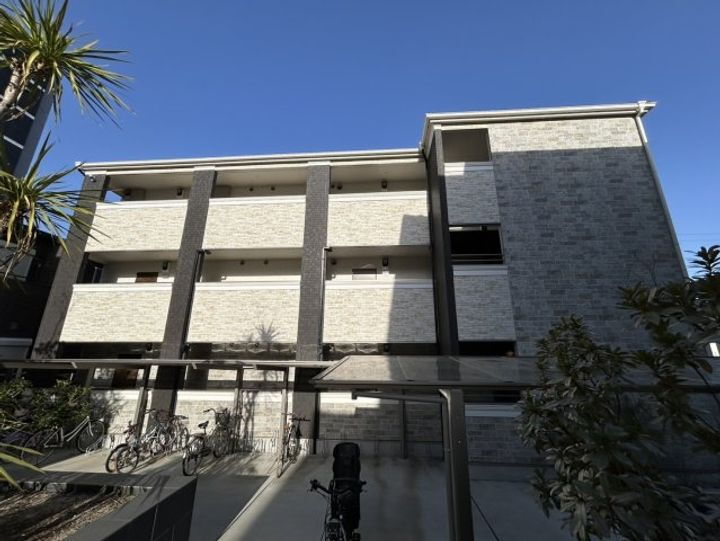 Ｊａｃａｒａｎｄａ　Ｙａｒｄ　Ｃ