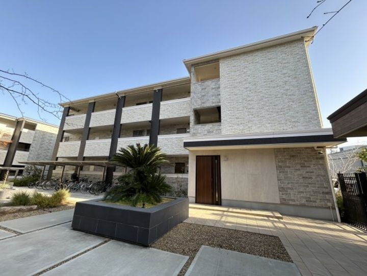 Ｊａｃａｒａｎｄａ　Ｙａｒｄ　Ｂ