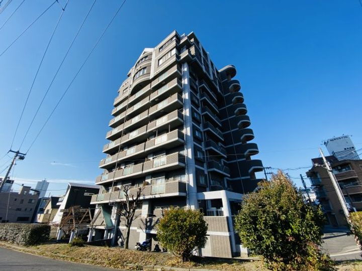 広島県広島市中区白島九軒町 賃貸マンション