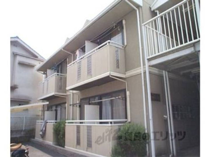 Ｃａｍｅｌｌｉａ　１ｓｔ　Ａ