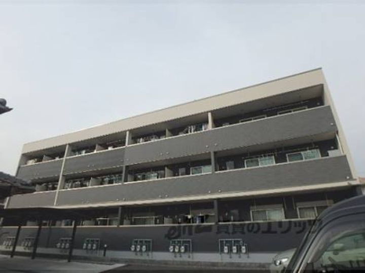 オーキッド