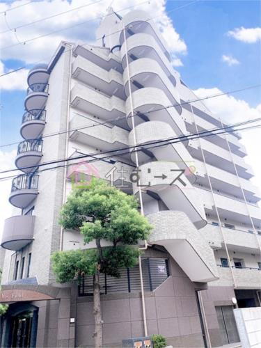 ワイズフィールド