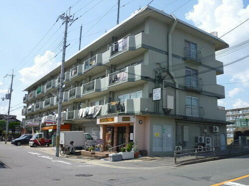 京都府京都市伏見区桃山町丹後