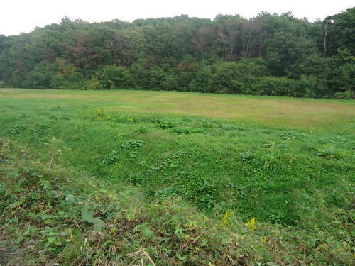 宮城県富谷市三ノ関膳部沢上