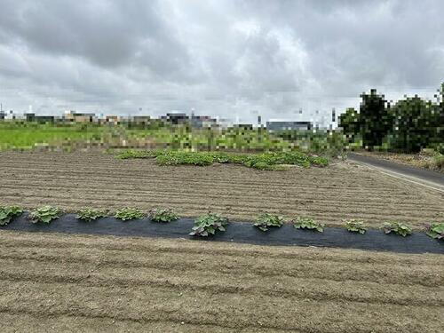 愛知県愛西市西川端町下兼