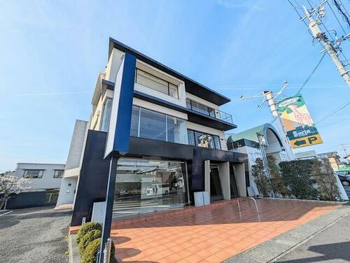 アンフィニビル