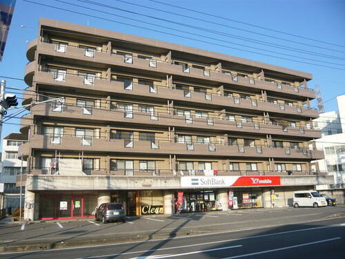 Ｆａｌｃｏ　ｂａｍｂｉｎｏ