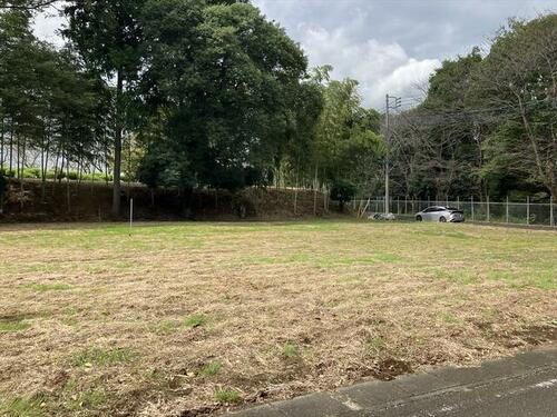 茨城県守谷市野木崎