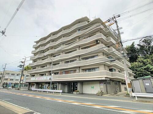 京都府京都市伏見区桃山町泰長老