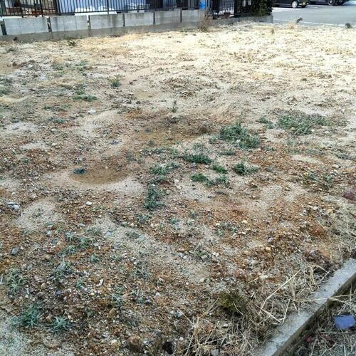 愛知県名古屋市南区西又兵ヱ町１丁目