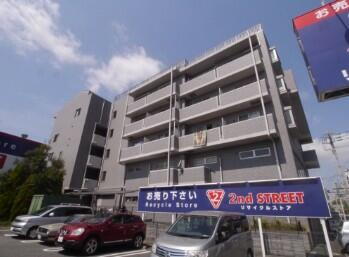 ｄｅｌｆｉｎｏ