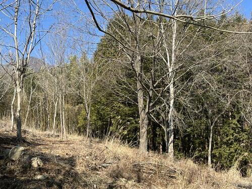 山梨県山梨市牧丘町西保下