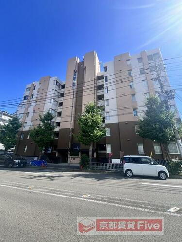 京都府京都市右京区嵯峨新宮町