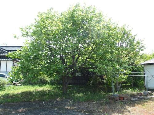 福岡県田川郡香春町大字香春