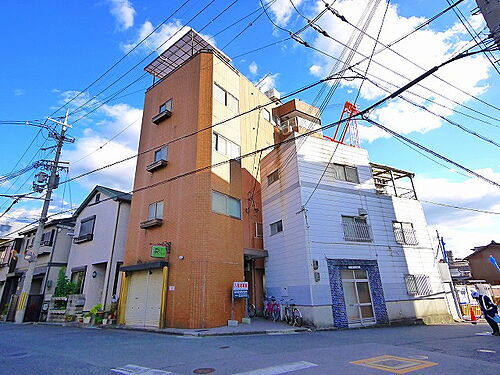 スコッチテリア三条