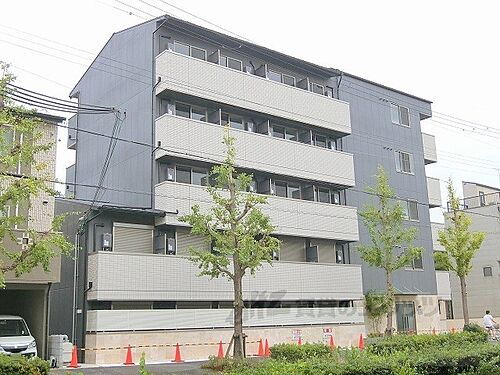 フラッティ京都十条テナント