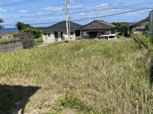 鹿児島県西之表市西之表 土地